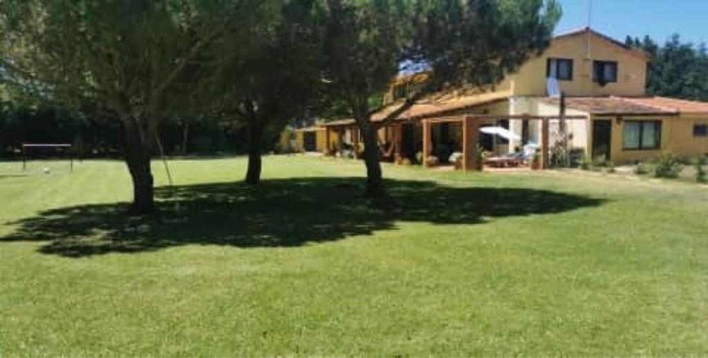 un ampio cortile con alberi e una casa di T0 da Casa da Quinta S José a Praia de Mira
