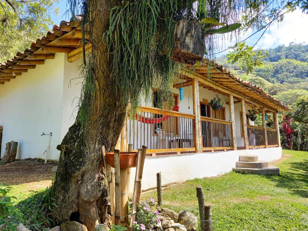une maison avec un arbre en face dans l'établissement Resort el refugio, à La Merced