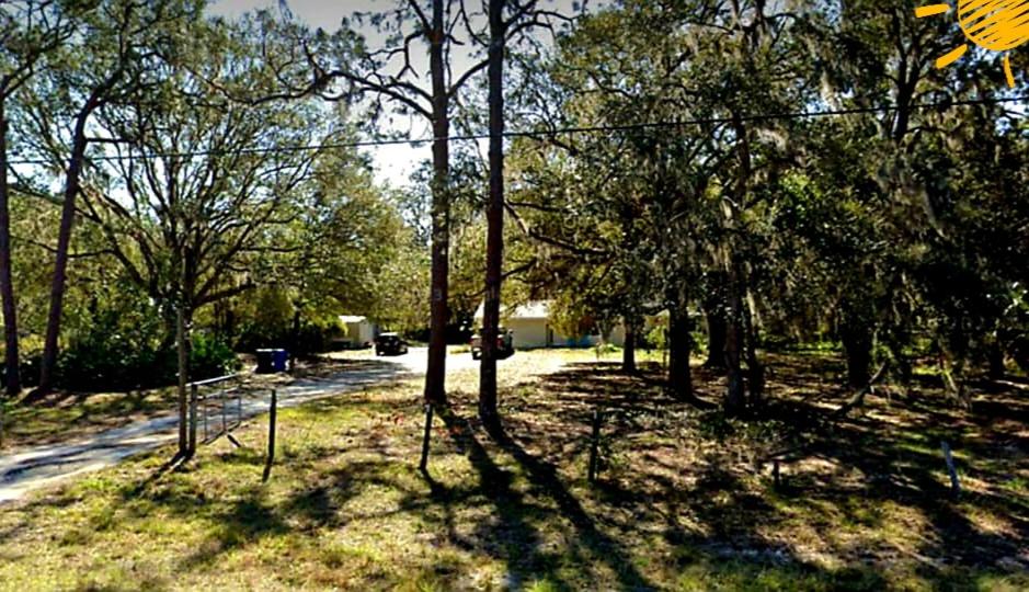 a group of trees with their shadows on the grass at boats,horses & RV parking in Wimauma