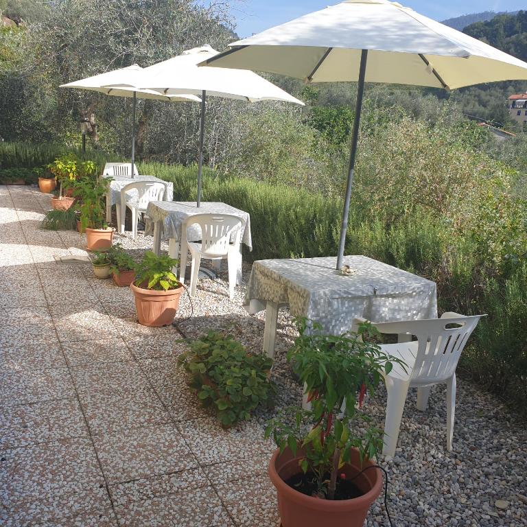 Zahrada ubytování Agriturismo La Collina Verde