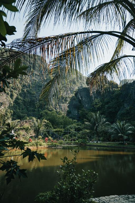 Fairy Mountain Retreat - 5