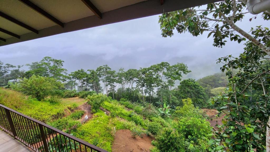 a view of a forest from a balcony at Cabañas Vista de Oro in Paraíso
