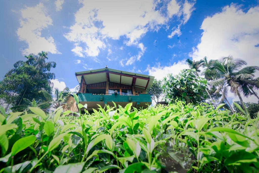 un edificio al centro di un campo di piante di Rainforest View a Deniyaya