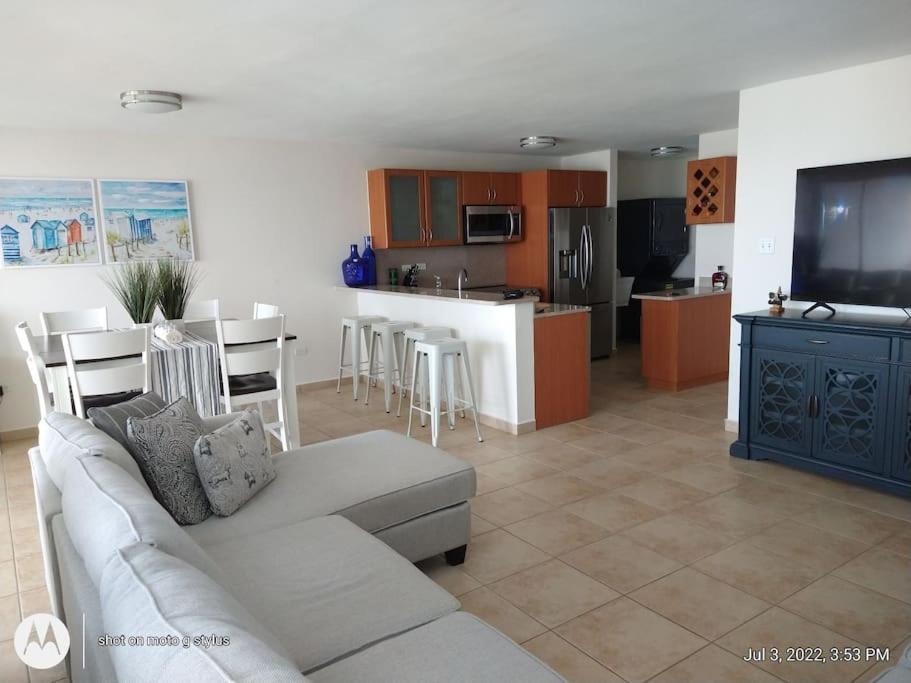 Ocean view condo (Puerto Rico Palmer)