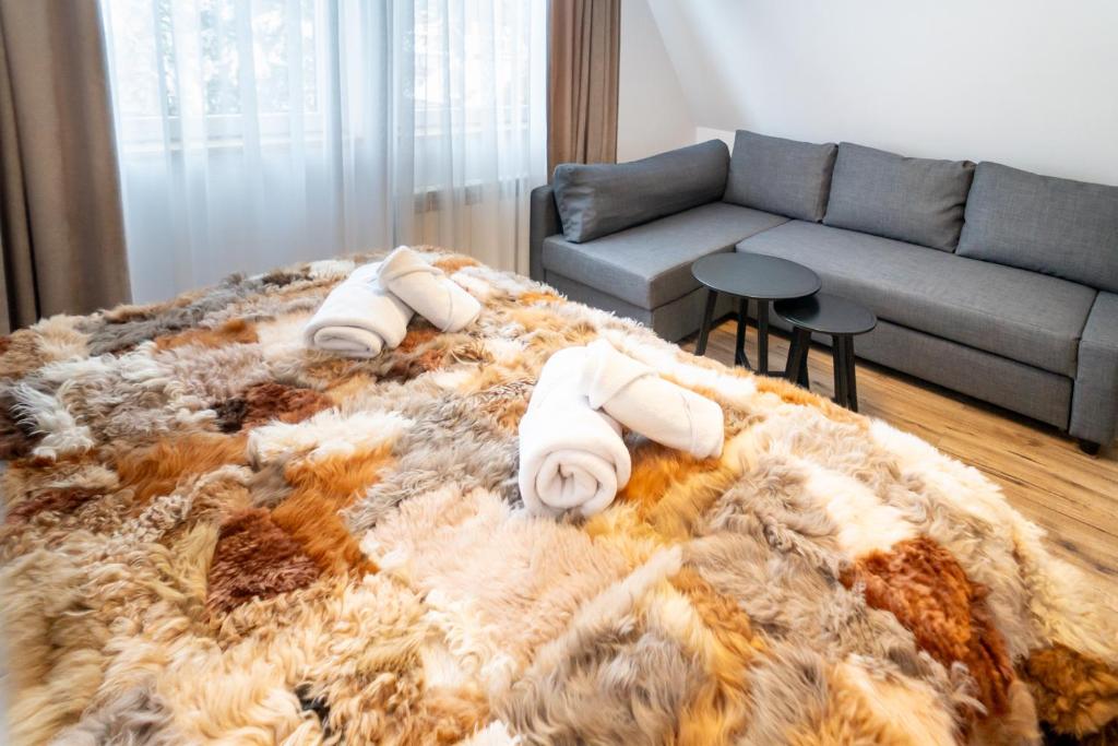 Willa Owca i Baran - 15