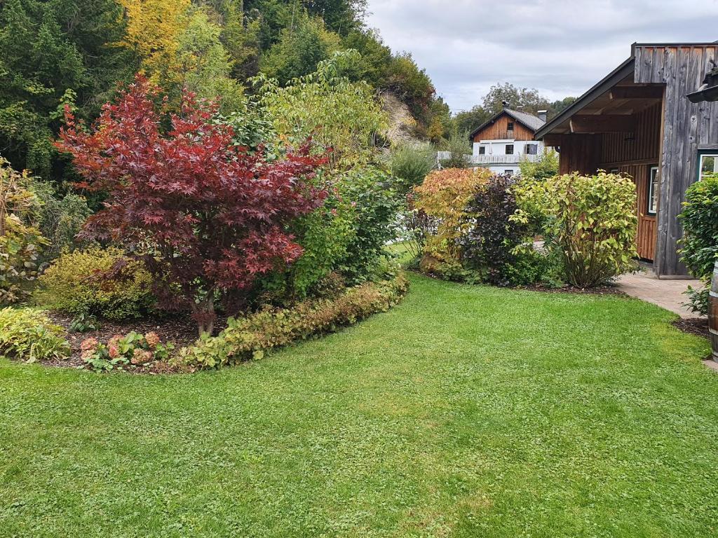 um jardim com relvado e alguns arbustos e uma casa em Haus Schatzl em Bad Aussee