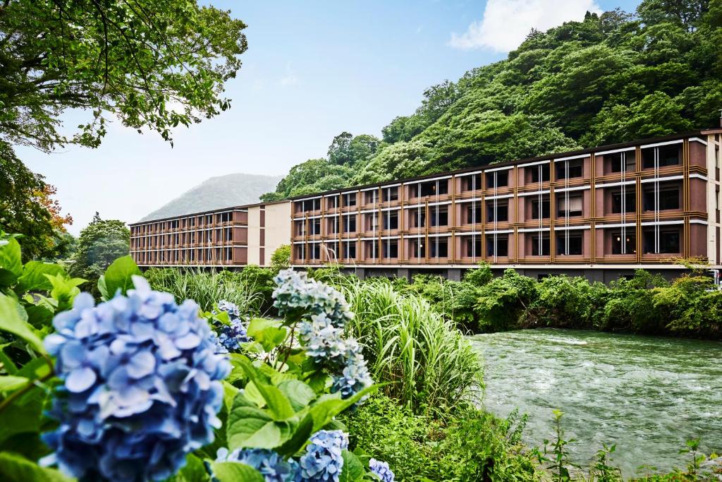 Příroda nedaleko hotelu