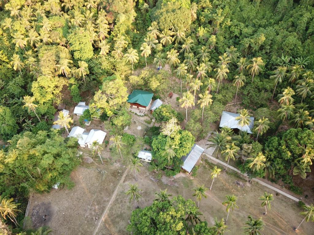 - une vue aérienne sur une forêt avec des palmiers et des maisons dans l'établissement High Chaparral Cottages, à El Nido