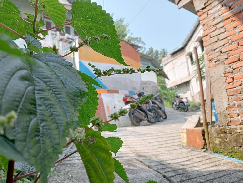 Zahrada ubytování Evergreen Lodge