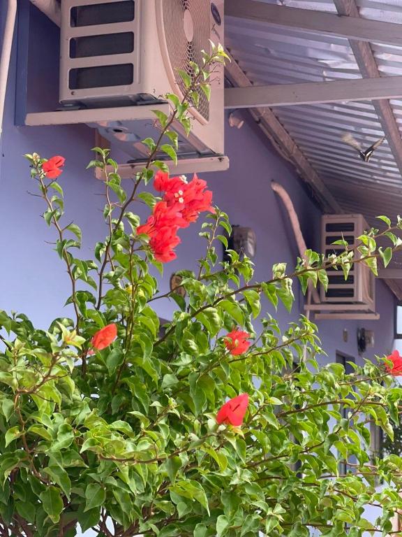 Nhà Nghỉ Vườn Oải Hương LAVENDER GARDEN GUEST HOUSE - 16