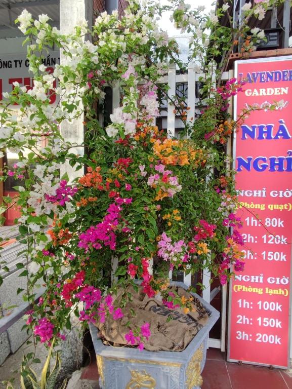 Nhà Nghỉ Vườn Oải Hương LAVENDER GARDEN GUEST HOUSE - 17
