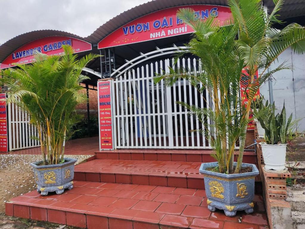 Nhà Nghỉ Vườn Oải Hương LAVENDER GARDEN GUEST HOUSE - 15