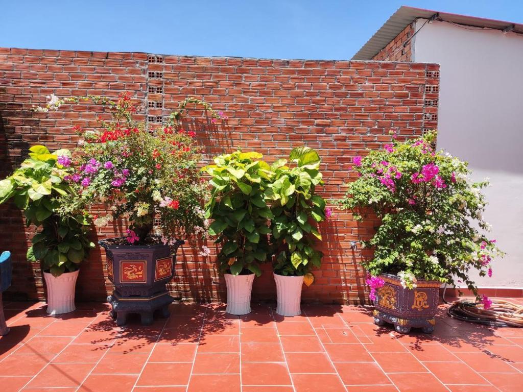 Nhà Nghỉ Vườn Oải Hương LAVENDER GARDEN GUEST HOUSE - 3