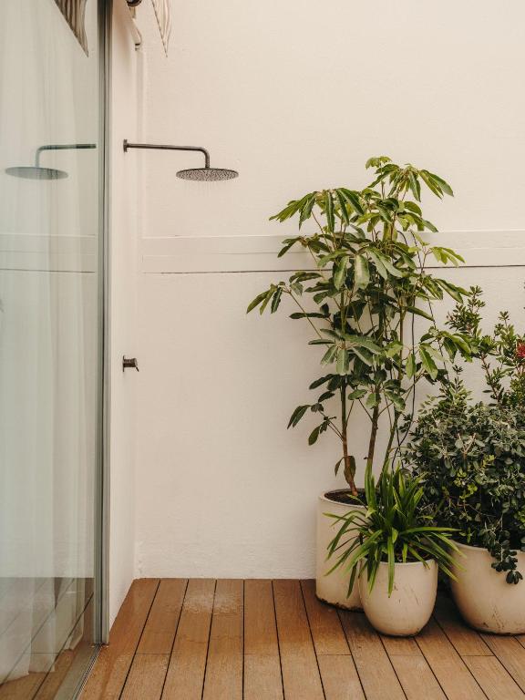 Hotel Pulitzer Barcelona - 19