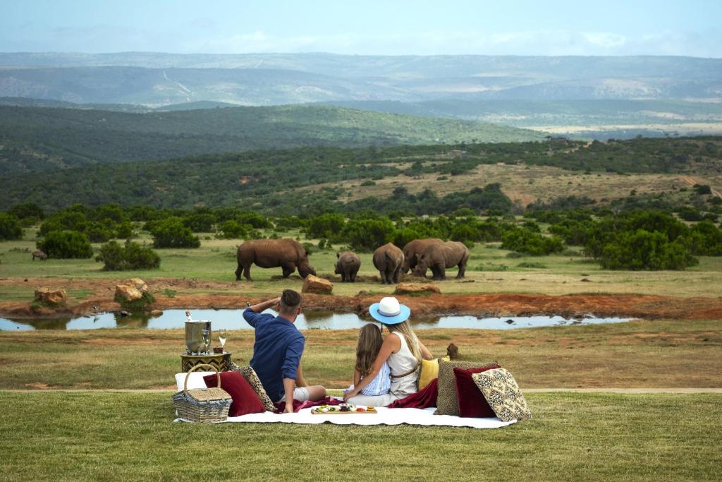 a group of people sitting on a blanket watching elephants at Mantis Founders Lodge in Paterson