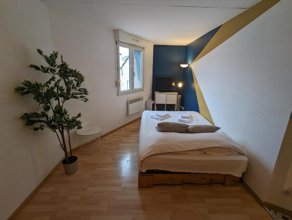 a bedroom with a bed and a potted plant at Ton Petit Studio - Le 62 - Coeur de Ville in Mulhouse