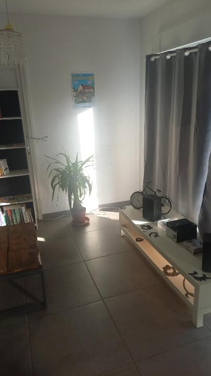 格拉迪尼昂Appartement et studio indépendants的一间客厅,里面装有盆栽植物和窗户