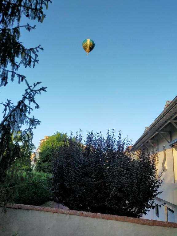 a butterfly flying over a bush in front of a building at Le Jardin du Dolaizon in Le Puy-en-Velay