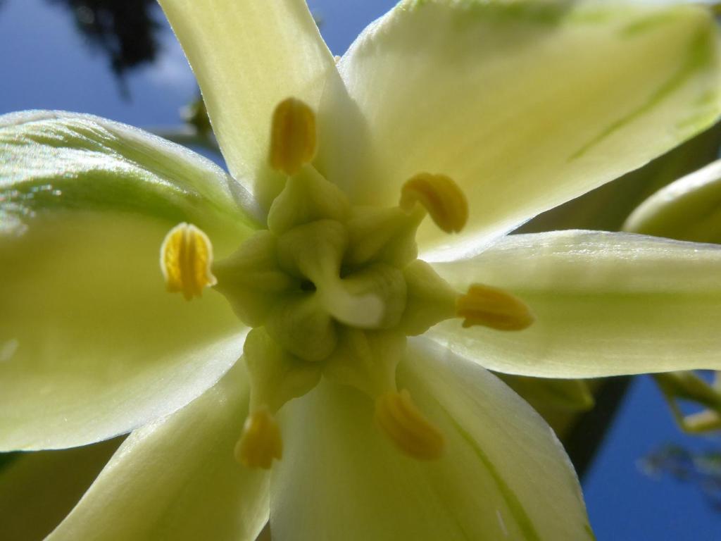 Wharepuke Subtropical Accommodation - Resim 41