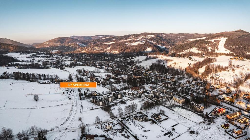 an aerial view of a ski resort in the snow at Spokojna, Sun & Snow in Wisła