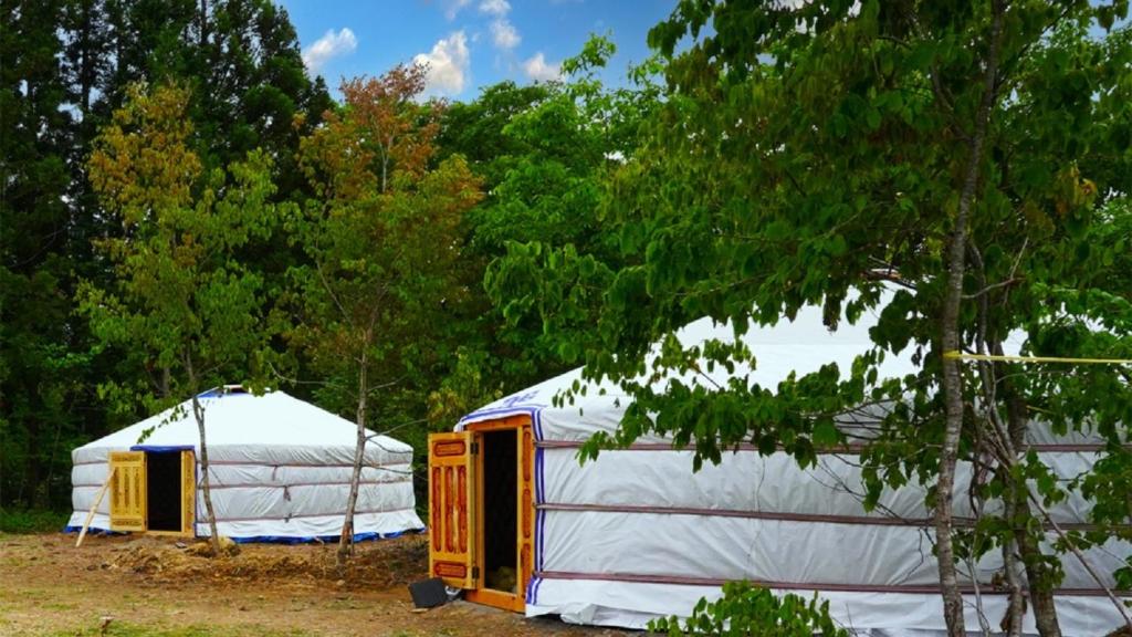 duas tendas num campo com árvores ao fundo em mini mongolia campsite - Vacation STAY 42129v em Makito