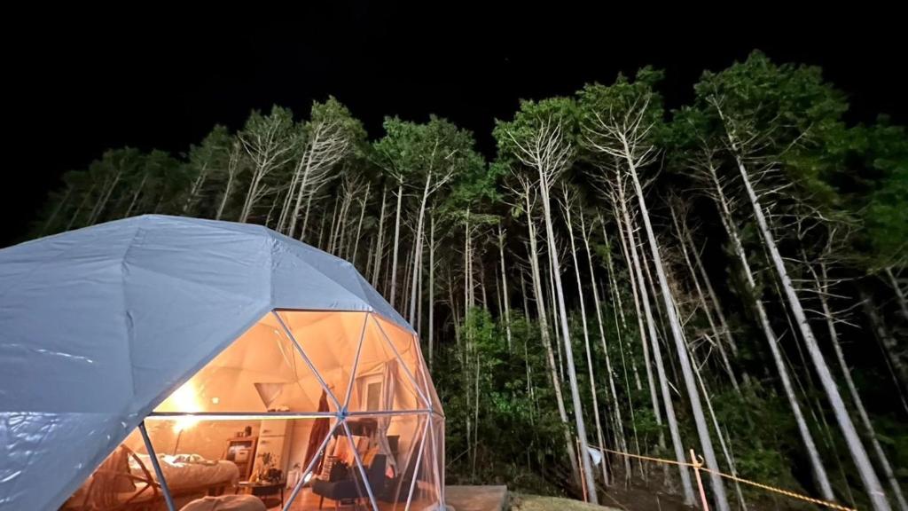 une tente en face d'une forêt d'arbres la nuit dans l'établissement Kannami Springs Hotel Kannami Glamping - Camp - Vacation STAY 62738v, à Mishima