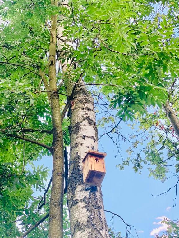 Fotografie z fotogalerie ubytování Park Huntířov v destinaci Huntířov