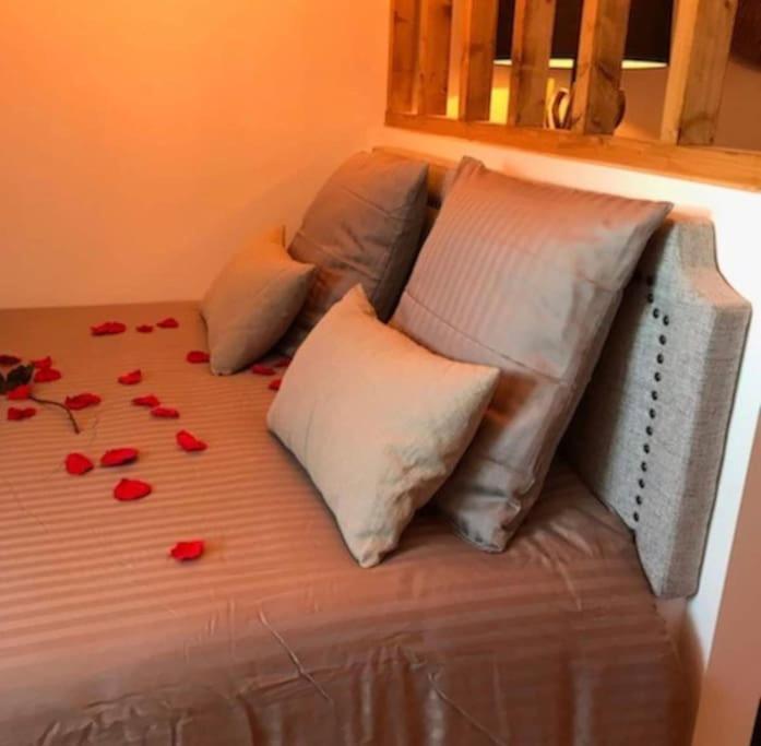 a bed with red rose petals on it at détente centre historique de MÂCON avec spa et ciné in Mâcon