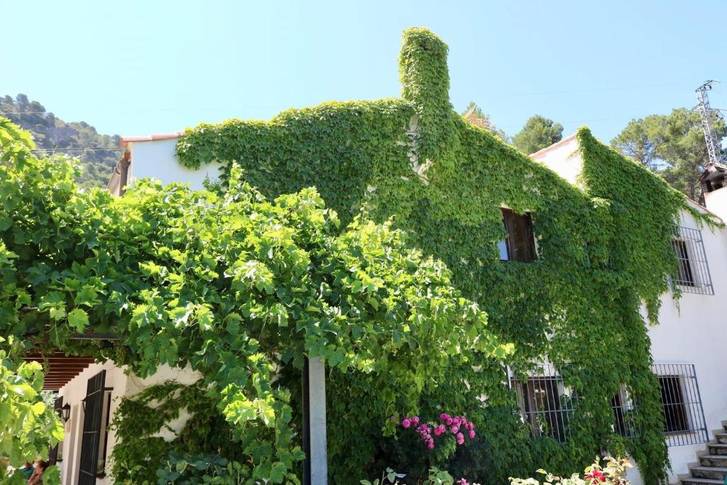 a building covered in ivy with flowers and plants at Casas Rurales Cortijo El Marqués in Quesada