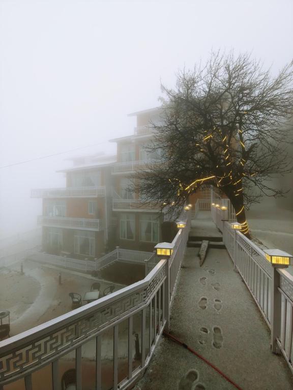 a tree in front of a building in the fog at Himalaya Villas in Murree