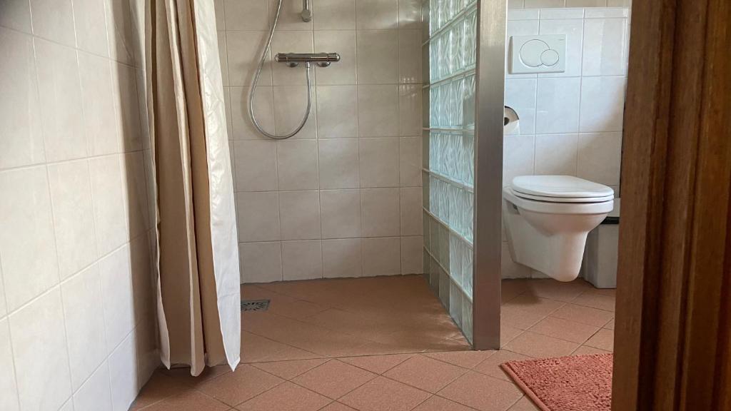 ein Bad mit einer Dusche und einem WC in der Unterkunft Vakantiehuis De Fiere - op erf wijngaard De Fiere Wijnakker in Zutphen