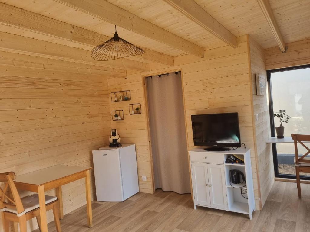 um quarto com uma parede de madeira, uma televisão e um frigorífico em Chez Sylvie et Stéphane em Le Mans