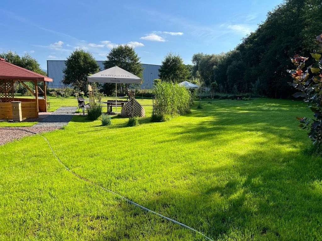 Vonkajšia záhrada v ubytovaní Apartament Kudowa Zdrój - Słone 60m2