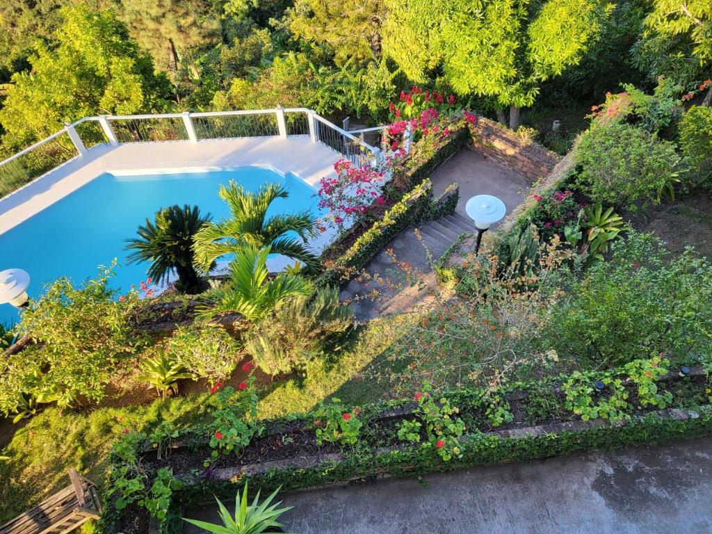 an aerial view of a garden with a swimming pool at Tranquility Estate in Kingston