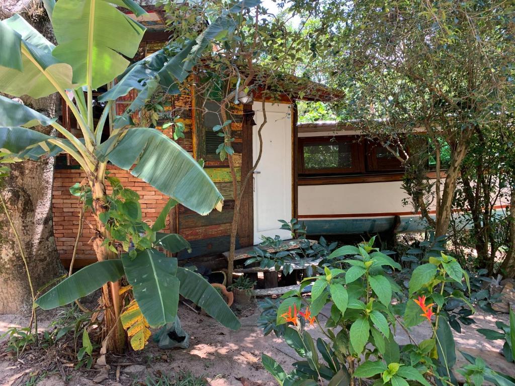 una pequeña casa en un jardín con una planta en Casa Barco Campeche, en Florianópolis