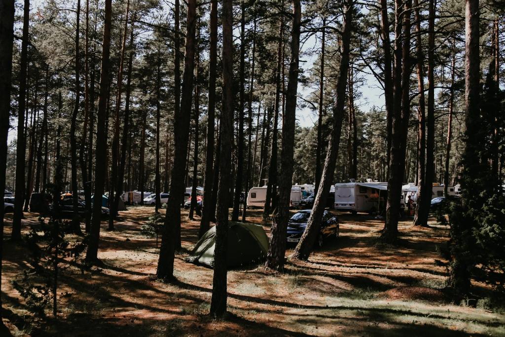 Příroda nedaleko hotelu