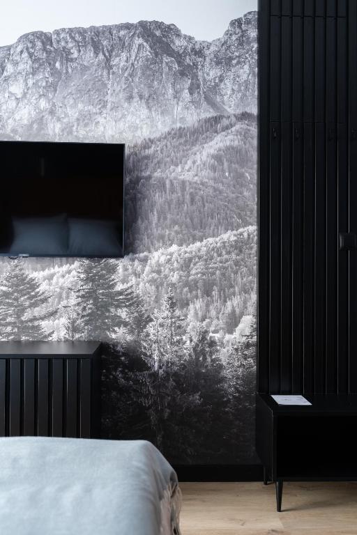 Alpina Residence & Kameralne SPA - 4