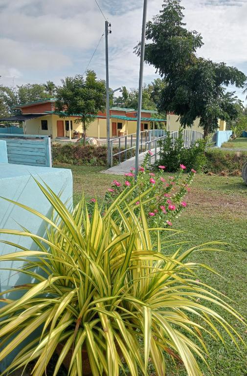 une plante devant une maison fleurie dans l'établissement River restaurant&room service อาหารตามสั่ง&ห้องพักรายวัน, à Prasat