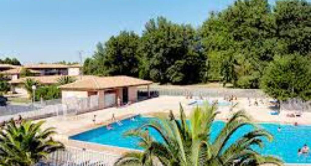 une grande piscine avec des palmiers et des personnes y séjournant dans l'établissement T2 Pierres de Jade avec piscine, à Saint-Cyprien