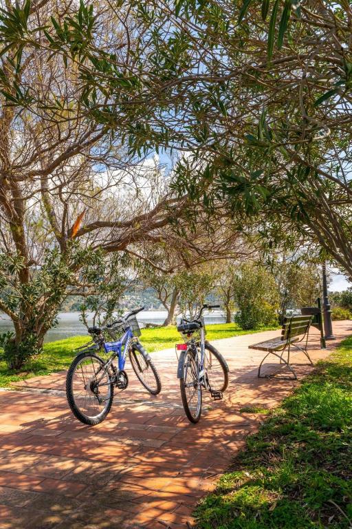 Jazda na bicykli v okolí ubytovania Entheos City Center Kefalonia