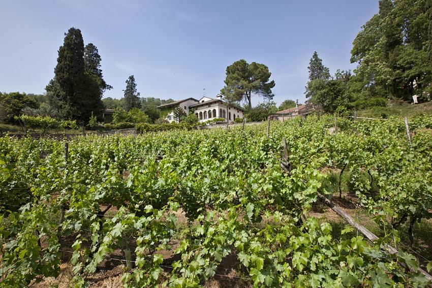 a field of crops with a house in the background at Fattoria Le Vegre in Arcugnano