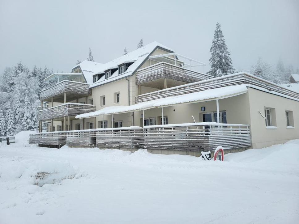 uma casa na neve em frente em Résidence du Lac Blanc appartement chez Jérémy em Orbey