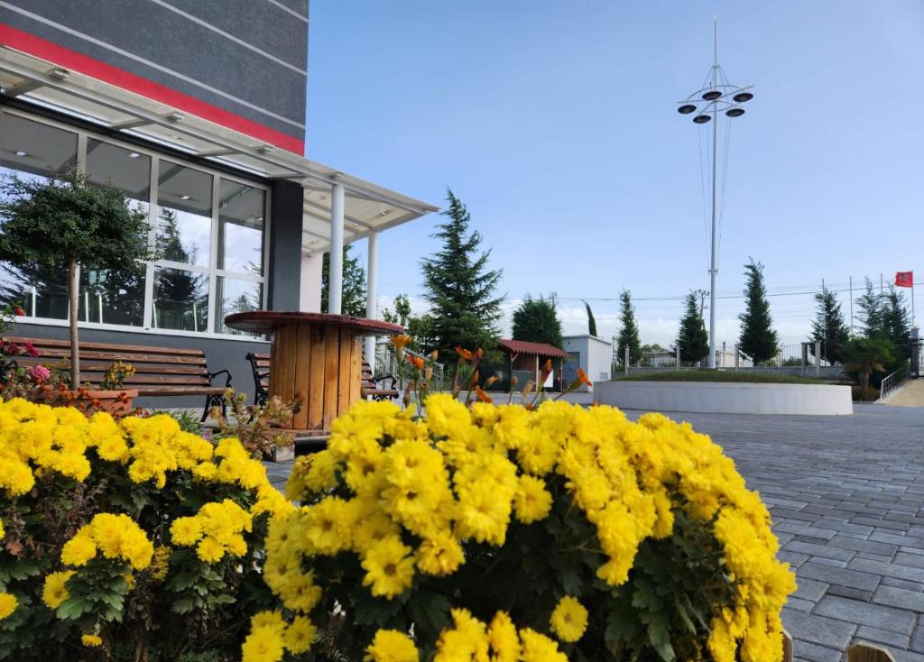 Zahrada ubytování Kompleksi CFN ALBANIA