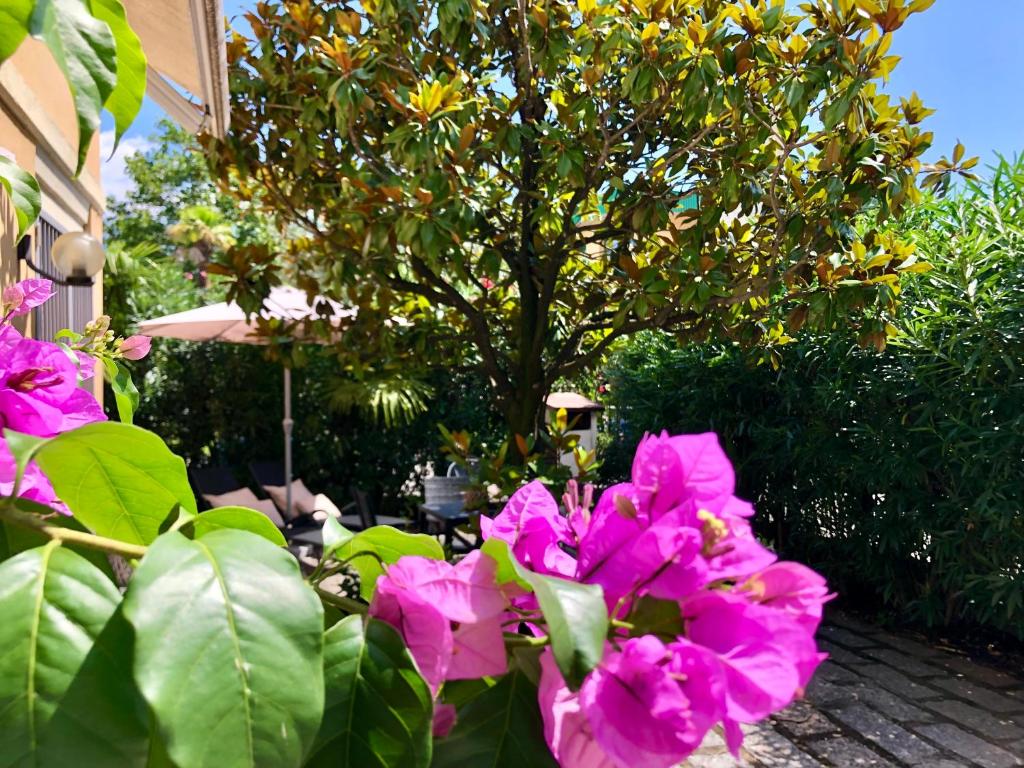 eine Gruppe rosafarbener Blumen vor einem Baum in der Unterkunft Appartamento villatorretta24 in Riva del Garda