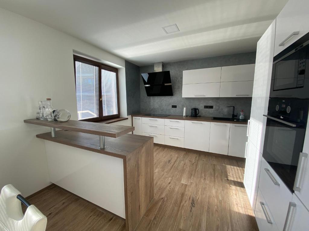 Kuchyň nebo kuchyňský kout v ubytování Apartmán pod Pálavskými vrchy