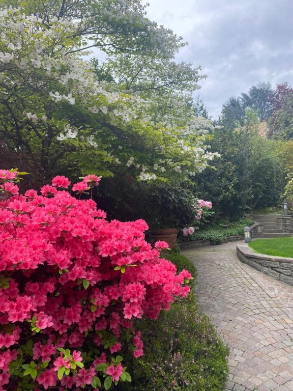 un jardin avec des fleurs roses sur un chemin en briques dans l'établissement Maison Montello, à Varèse