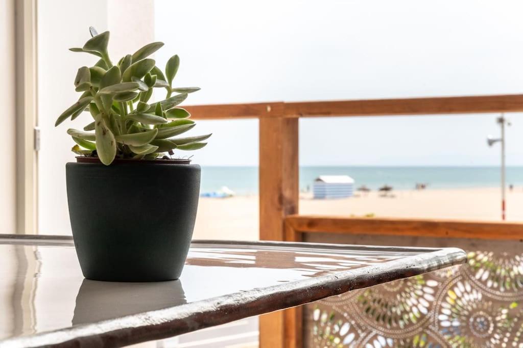 a potted plant sitting on a table in front of the beach at La Javanaise in Narbonne-Plage