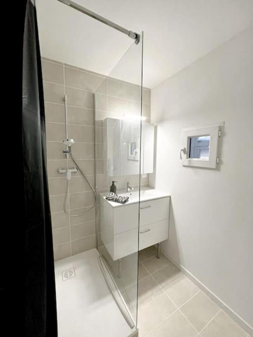 a bathroom with a glass shower and a sink at Le Phoenix, proche stations ski et Campus Univers. in Gières