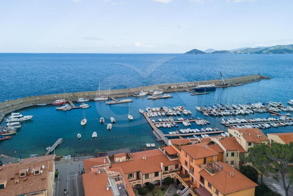 an aerial view of a marina with boats in the water at Appartamenti La Marina - Goelba in Marciana Marina