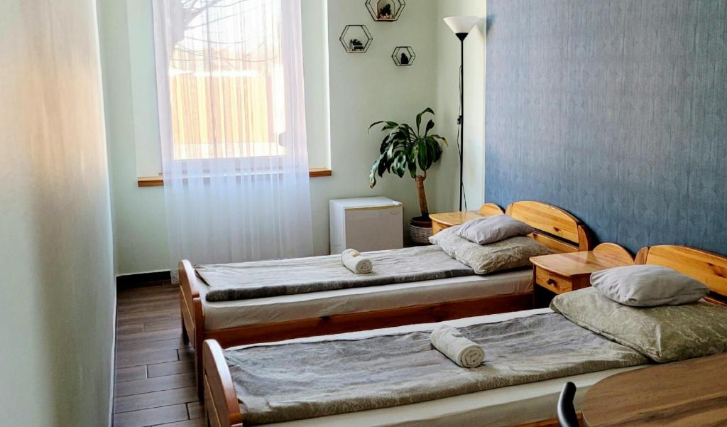pokój z 3 łóżkami i doniczką w obiekcie Megyeház Apartman w mieście Makó